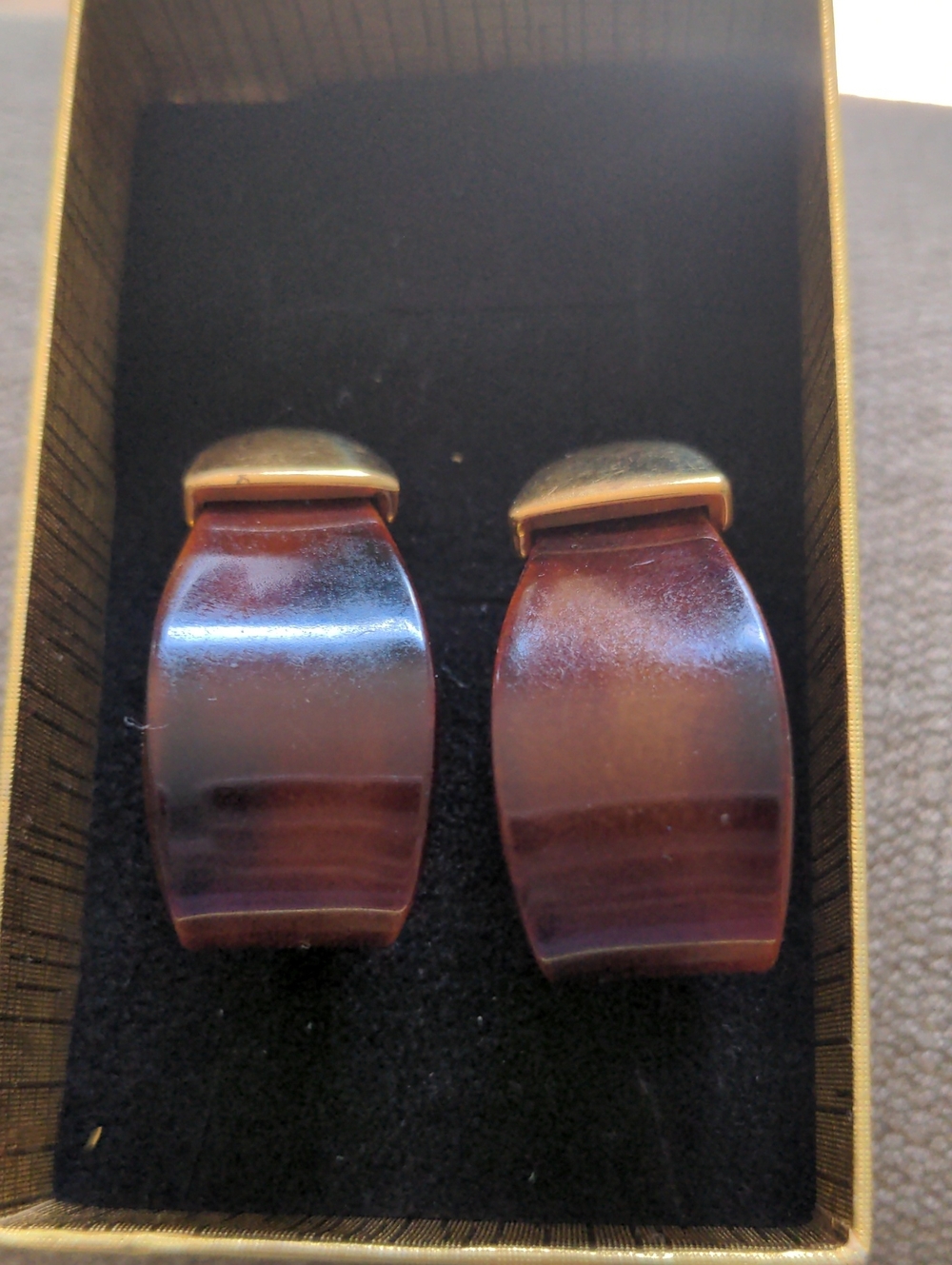 New Tortoise Shell Resin J Hook Earrings, Polished Goldtone Trim